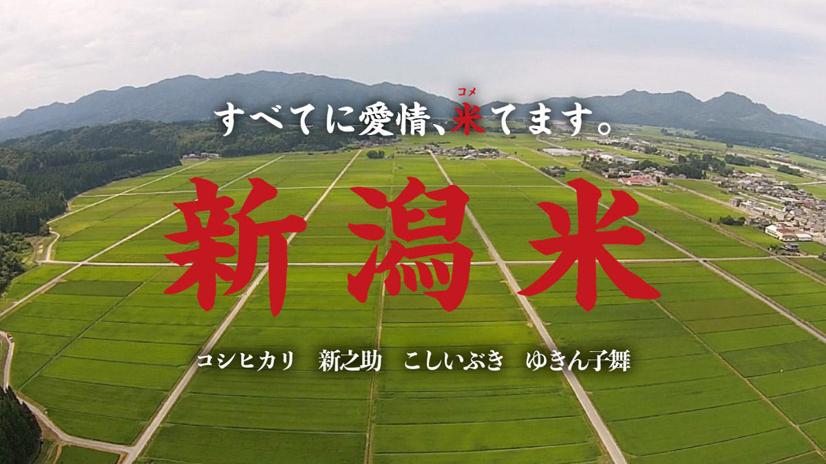 オリジナル楽曲