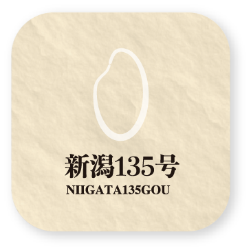 新潟135号