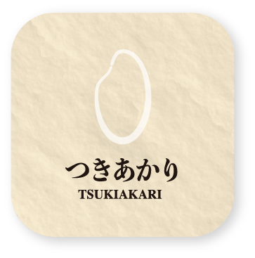 つきあかり