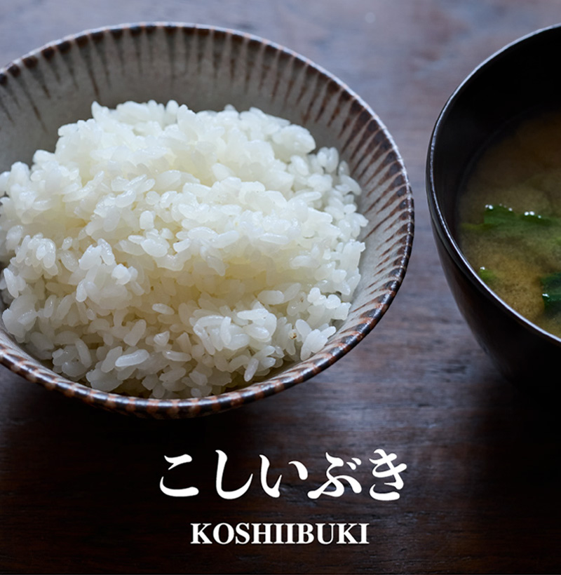 こしいぶき