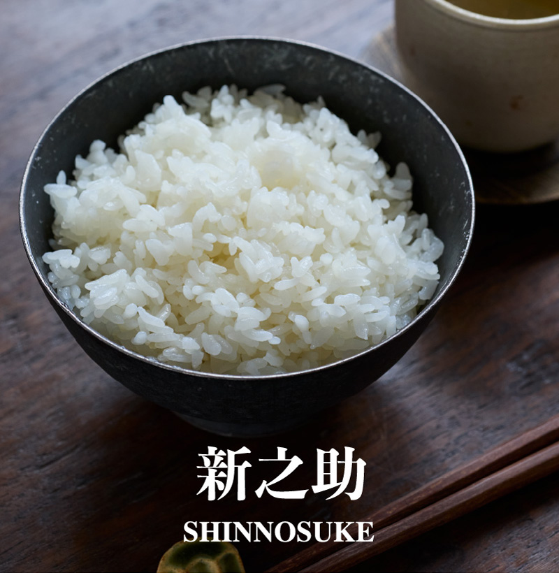 新之助